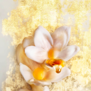 jadore-fragrance-oil